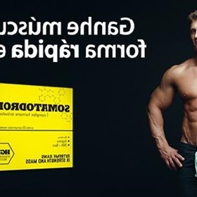 Somatodrol: Ferry Lambert